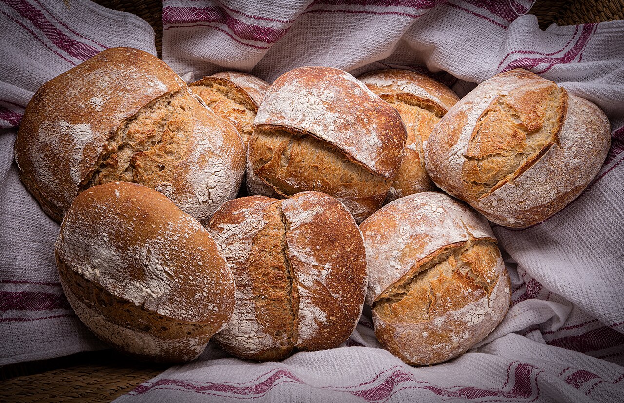 Sourdough's Global Resurgence: Ancient Roots to a $4.49B Market